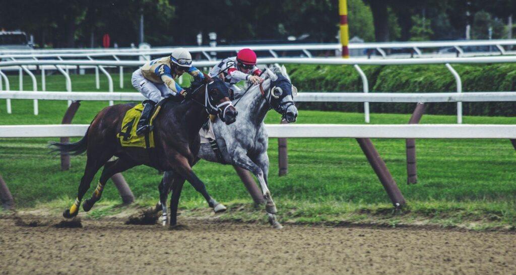 OddsJam vs ProfitDuel: Which Betting Tool Wins in 2026